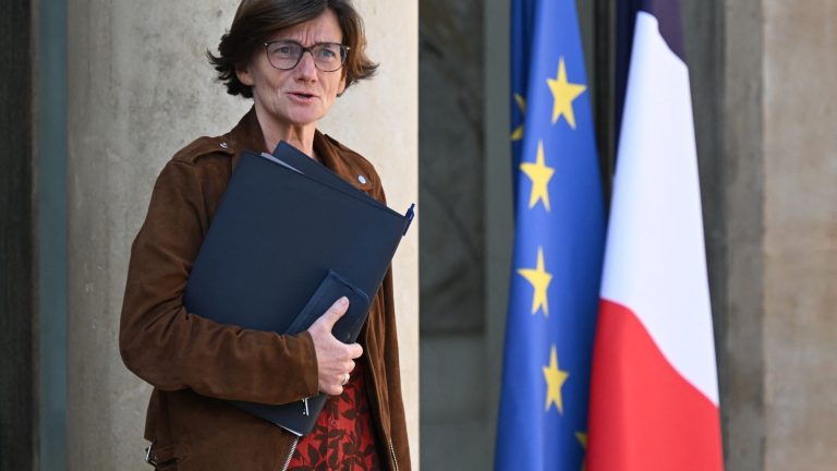 Mediapart claims that Minister Agnès Firmin Le Bodo received 20,000 euros in undeclared gifts as a pharmacist