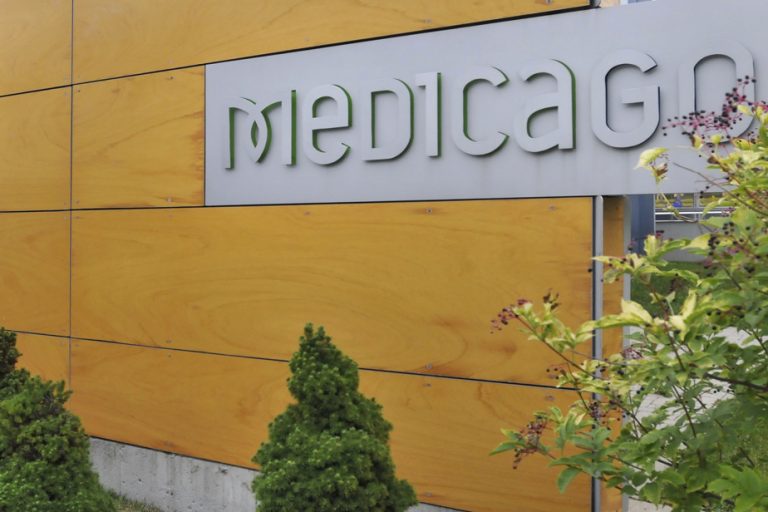 Medicago |  A recovery and millions recovered by Ottawa