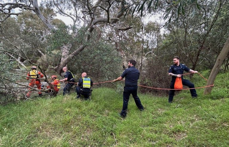 Nine people killed on Australia’s east coast after storm