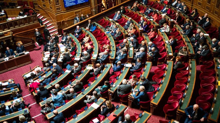 Parliament definitively adopts a text to simplify the mobility of work-study students abroad