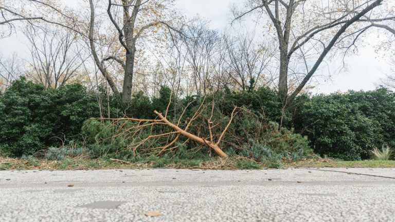 Puy-de-Dôme placed on orange alert due to violent winds