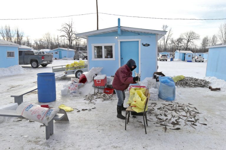 Sainte-Anne-de-la-Pérade |  Tomcod fishing is long overdue