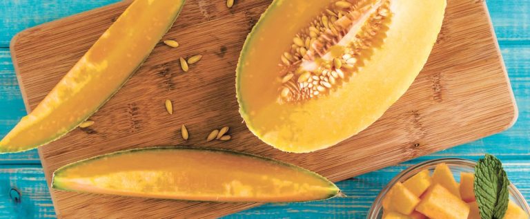 Salmonellosis: infected cantaloupes caused a seventh death in Canada