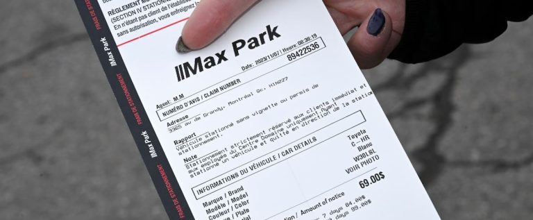 Stat Park, Max Park, Pay Park: what to do with these fake parking tickets?