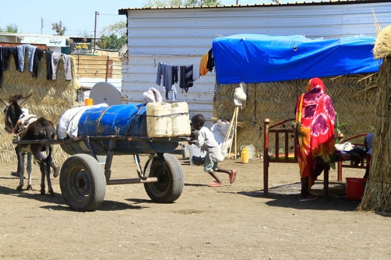 Sudan |  WHO calls for urgent action to address health crisis