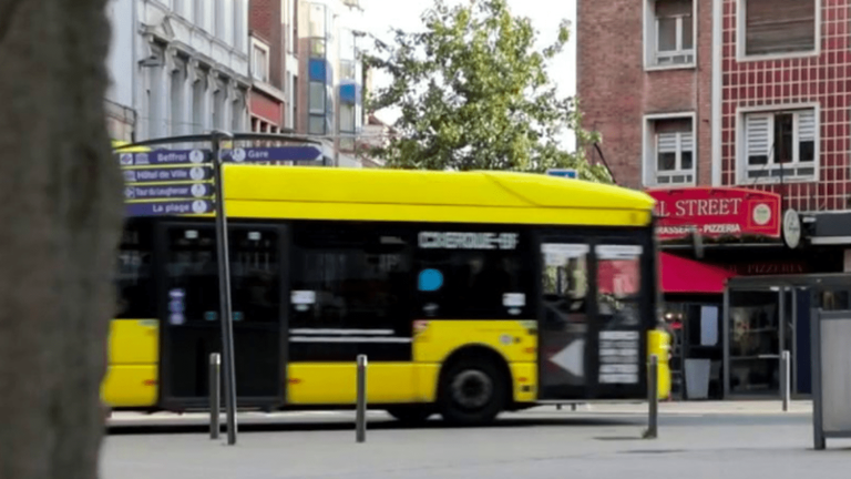 TRUE OR FALSE.  Do free municipal buses and trams reduce car journeys?