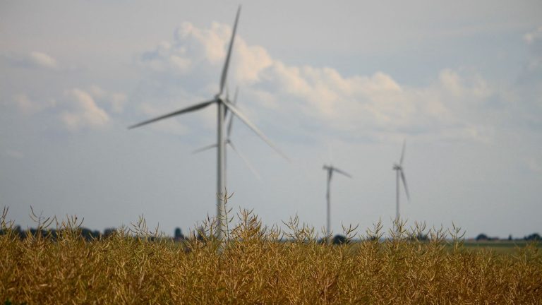 TRUE OR FALSE.  Were the wind turbines stopped during the storms, as an RN deputy claims?