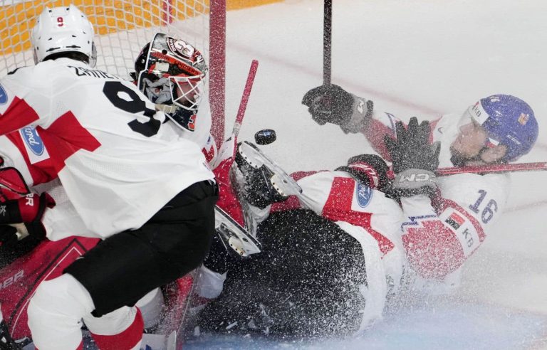 The IIHF requires the wearing of neck guards at all levels of competition