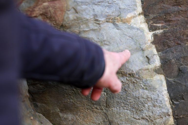 The Order of Geologists of Quebec placed under supervision