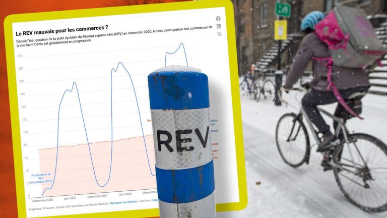 The cycle path in Saint-Denis: good or bad thing for businesses?