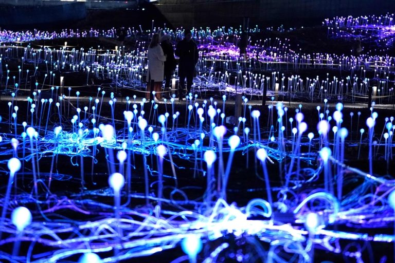 The immersive installation “Field of light” arrives in New York