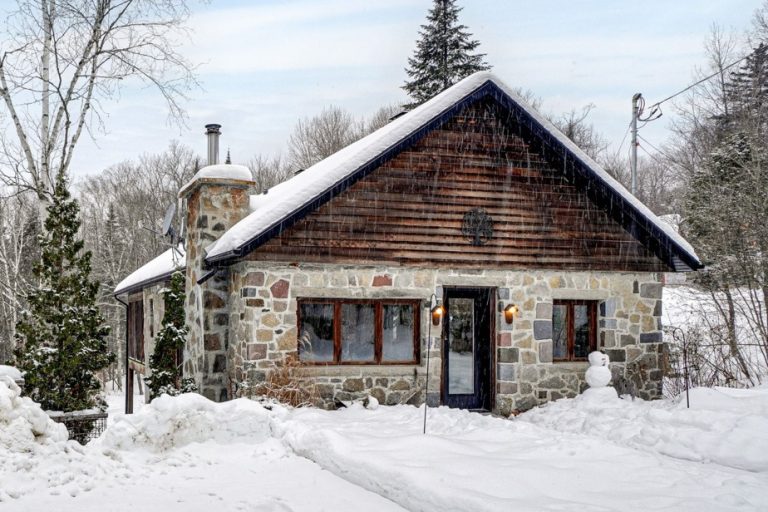 The neighborhood coquette |  Chalet and baby-chalet looking for adopters