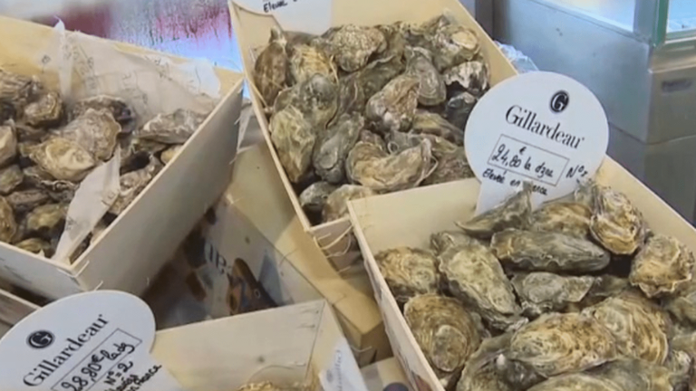 “The oysters were positive for norovirus,” relays Soizick le Guyader, virologist at Ifremer