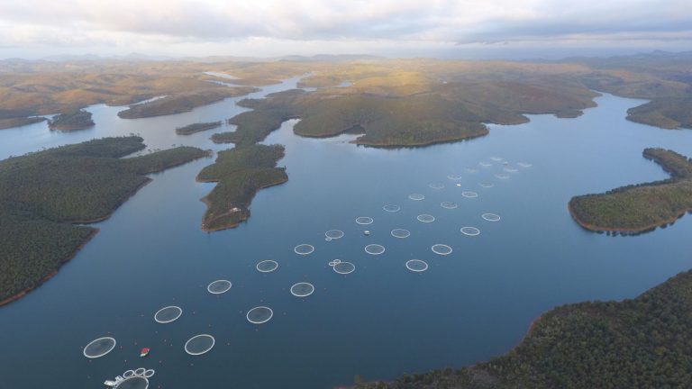 They produce caviar in Madagascar