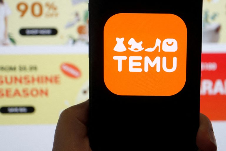 United States |  Temu attacks its competitor Shein, accused of mafia practices