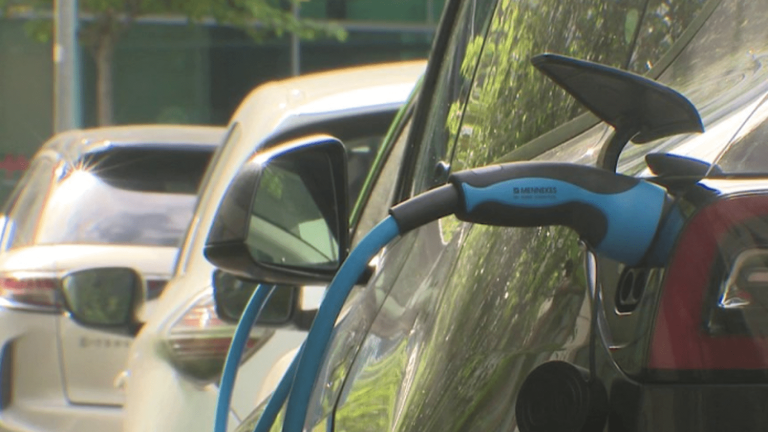 VIDEO.  Electric vehicles: is your household eligible for these cars for less than 100 euros per month?