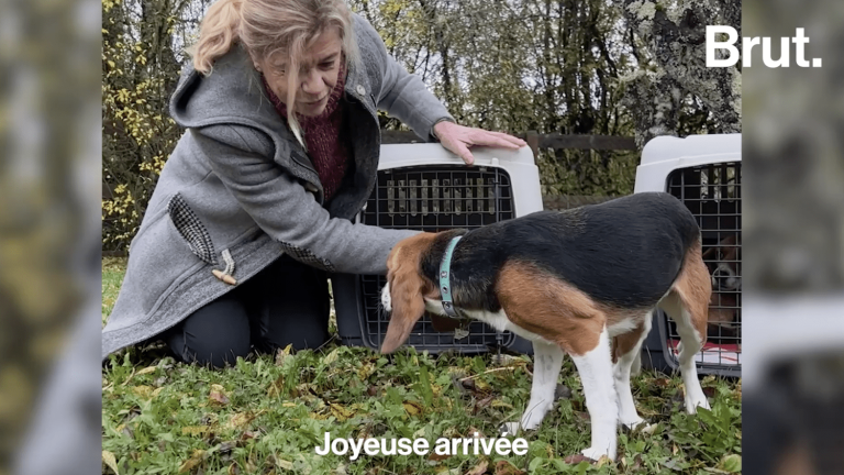 VIDEO.  She releases laboratory-bred beagle dogs