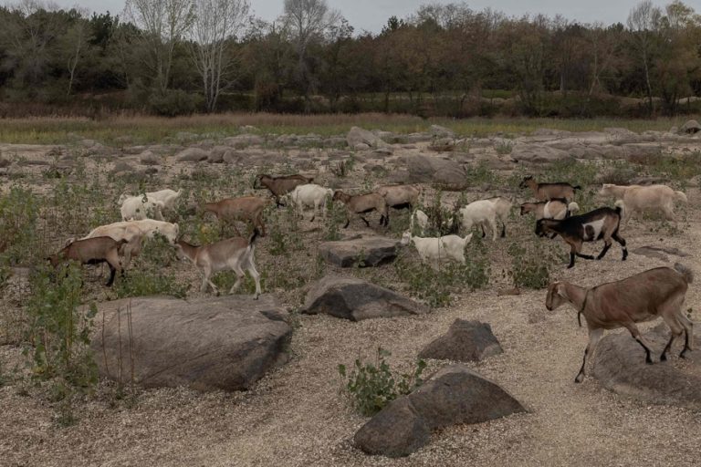 War in Ukraine |  Environmental devastation a ‘tragedy’, experts say