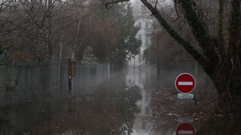 “We have won the battle against the pandemic, I am convinced that we will win the climate battle,” says Jean Viard