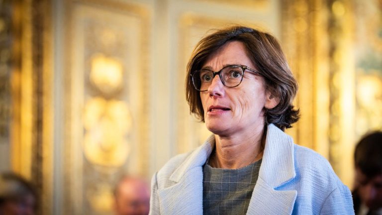 What we know about the investigation targeting the new Minister of Health, Agnès Firmin Le Bodo, suspected of having received undeclared gifts