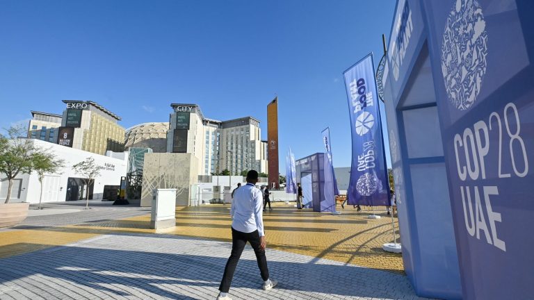 at COP28 in Dubai, activists challenge OPEC in its pavilion