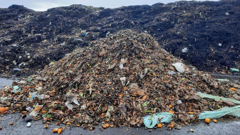 in Lyon, composting is already becoming a common practice