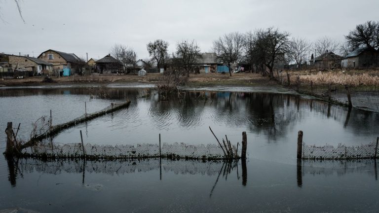 north of kyiv, the lands flooded to avoid the arrival of the Russians became uncultivable