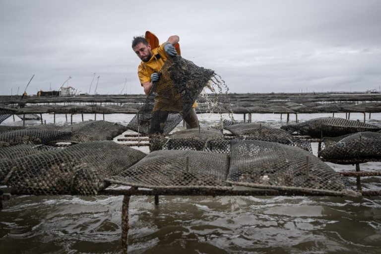 shellfish collection prohibited on part of the Manche coast