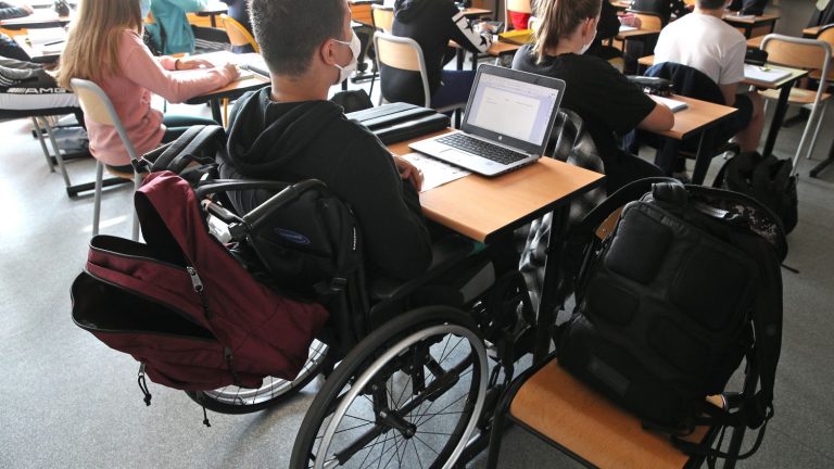 the Constitutional Council censors an article reforming the support of disabled children at school