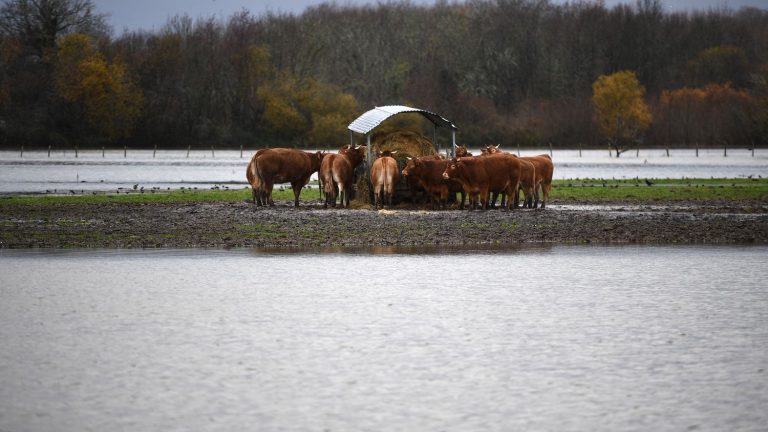 the departments of Charente, Charente-Maritime and Gironde kept on orange alert for floods