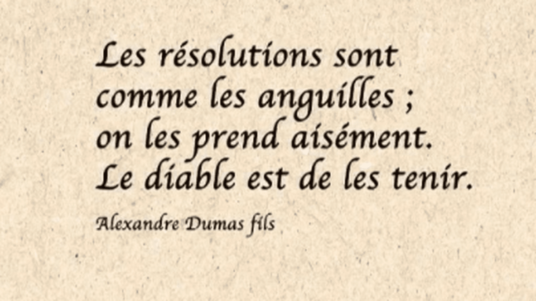 the good resolutions of the French