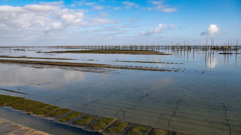 the prefect of Gironde announces an investment plan of 36 million euros to clean up the Arcachon Basin