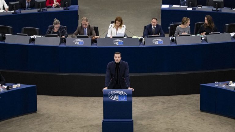 with its anti-EU policy, the RN isolates itself within the Strasbourg Parliament