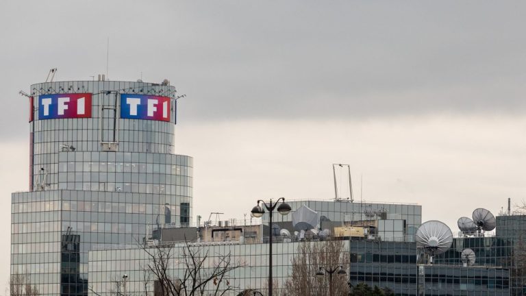 15,000 hours of content, new features… What does “TF1+”, the new free streaming platform from TF1, look like?