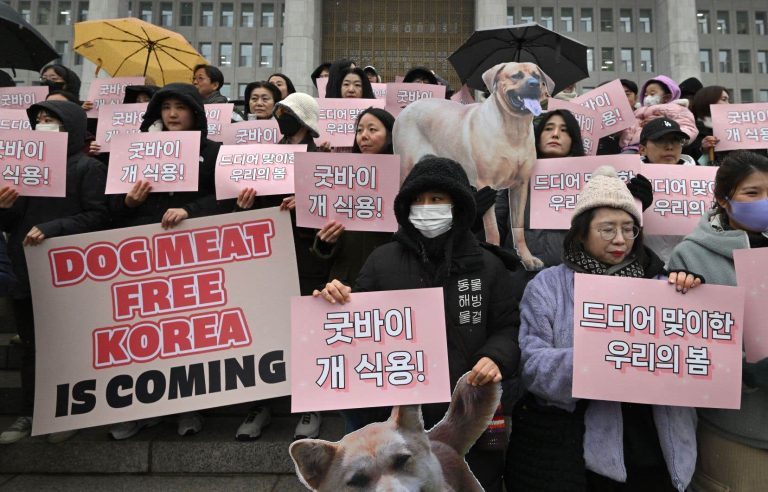 South Korea votes to ban dog meat