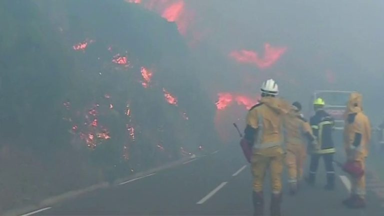 200 hectares burned in a fire