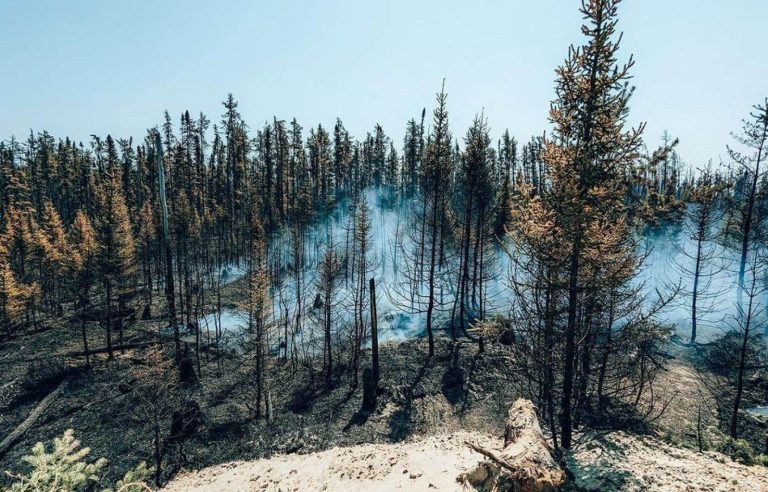 A cry of alarm for Quebec in the face of climate change