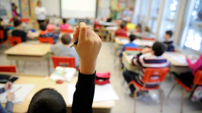 Academic catch-up plan: no volunteer teachers in schools