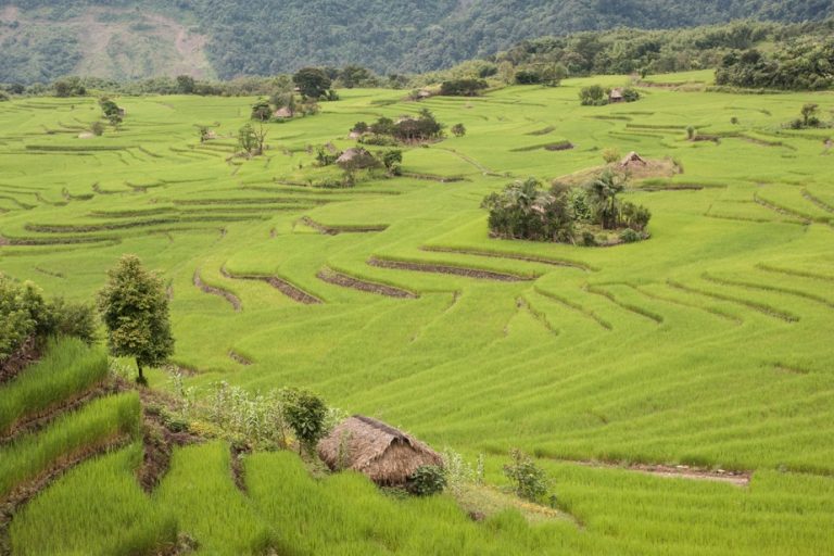 At the foot of the little-known Himalayas |  The Himalayas that we don’t know