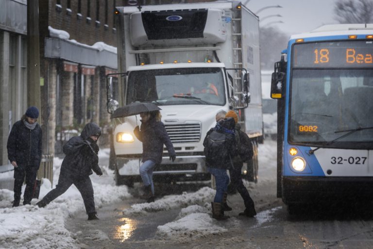 Bus stops |  Mont-Royal and Hampstead, snow removal champions