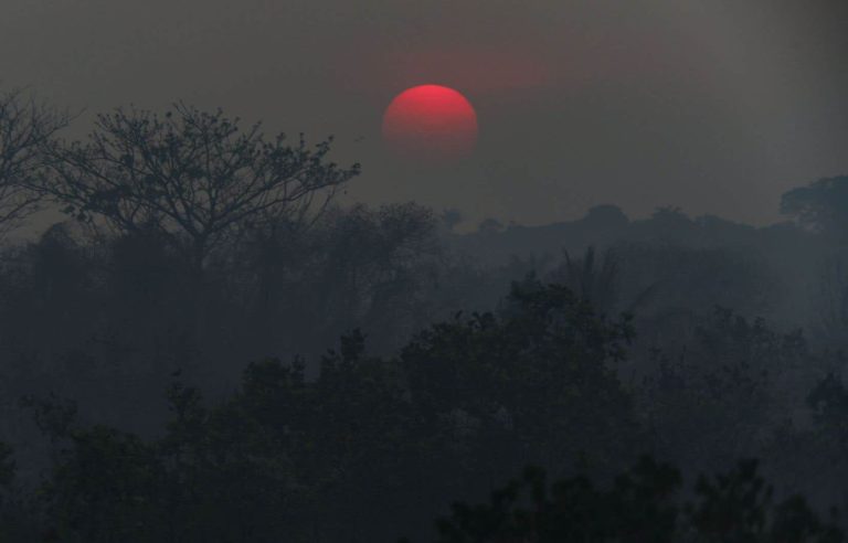 Climate change behind devastating Amazon drought in 2023, study finds