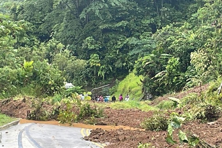 Colombia |  At least 18 dead in landslide