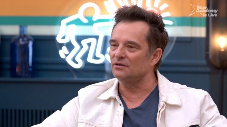 David Hallyday criticizes the performance of Julien and Marc Lavoine (“Star Academy”): “You could have…”