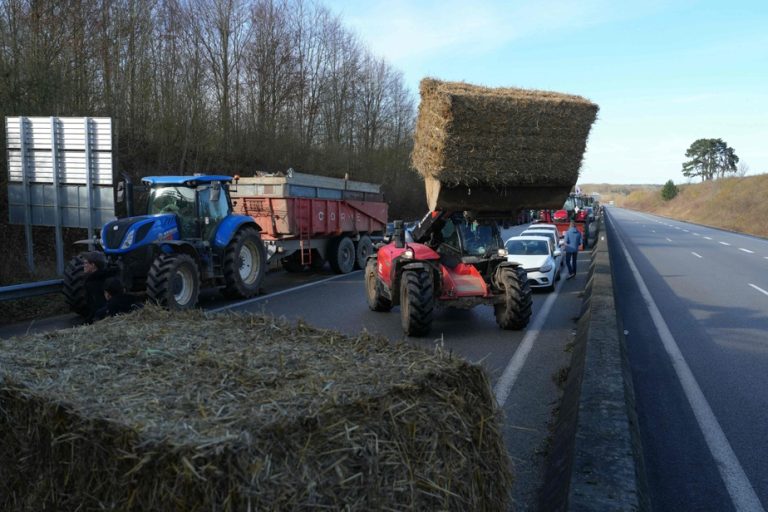 France |  Farmers want to block Paris, measures expected