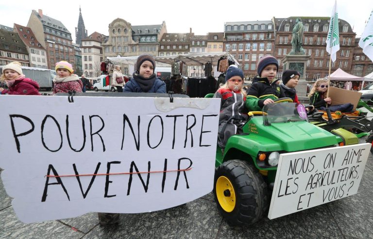 French farmers still mobilized, the EU singled out