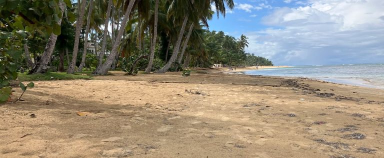 Las Terrenas: the French-speaking village of the Dominican Republic