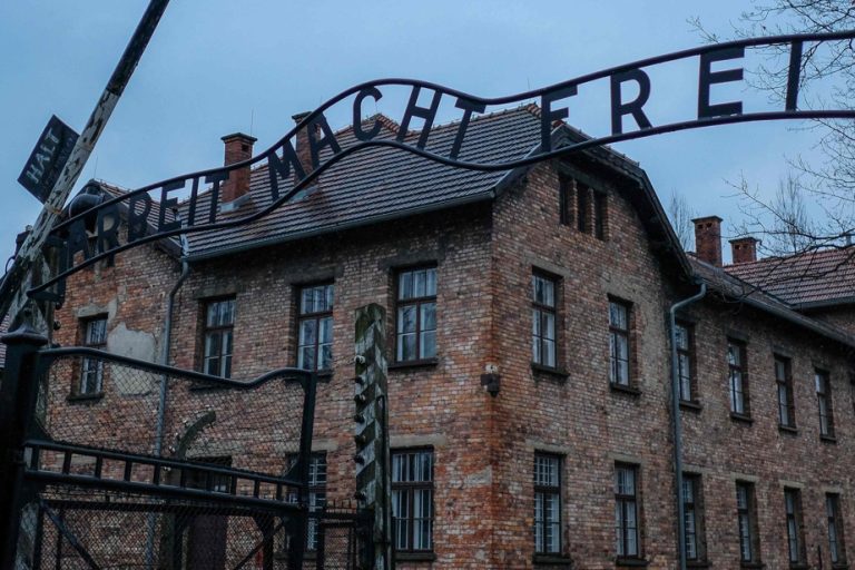 Liberation of the Auschwitz-Birkenau camp |  Holocaust survivors commemorate 79th anniversary