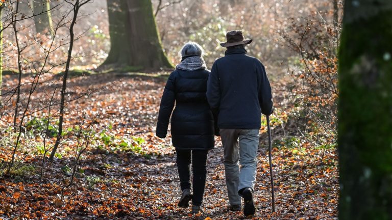 Living near natural spaces maintains the physical and mental health of older adults, study finds