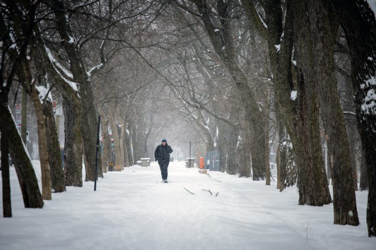 Major winter storm in sight in Quebec