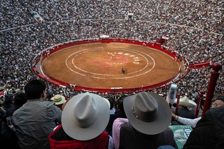 Mexico |  Bullfighting suspended again in the capital, three days after resumption